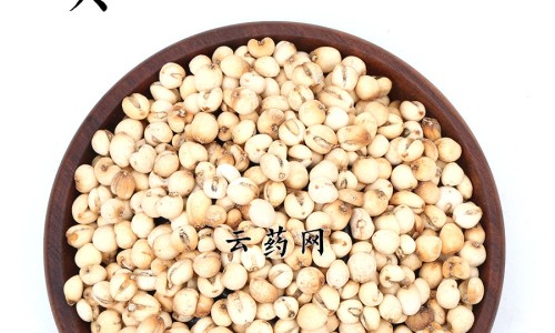 地骨皮的十大功效-地骨皮的枝功效与作用网—知名的地骨皮功效与作用与主治功能网站,分享地骨皮的十大功效知识