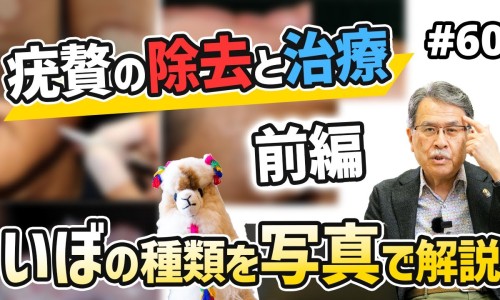 地骨皮的功效与主治及用法-地骨皮的枝功效与作用网—知名的地骨皮功效与作用与主治功能网站,分享地骨皮的十大功效知识